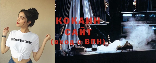кокс Алексин