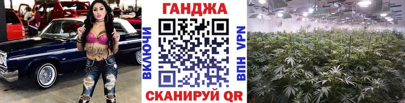 хочу наркоту Бирюч блэк спрут зеркало Конопля сатива